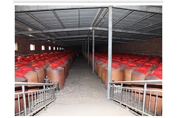 山西·汾阳市杏泉汾酒业有限公司