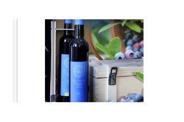 吉林省清木园山葡萄技术开发有限公司