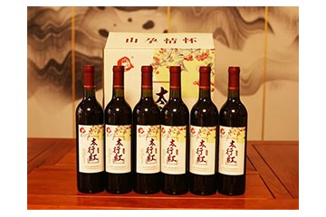 新乡市山之孕食品有限公司