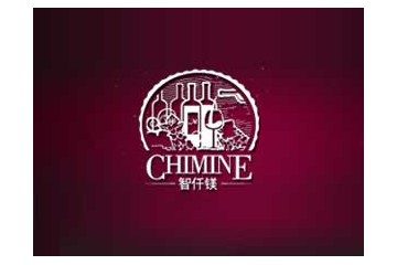 安徽智仟镁国际贸易有限公司