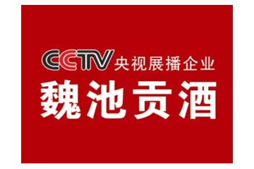安徽魏池酒业有限公司