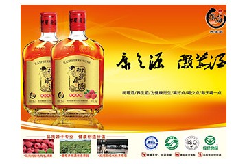 亳州康源养生酒业有限公司