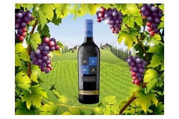 安徽矢车菊进出口贸易有限公司