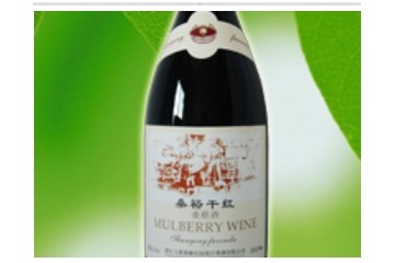 浙江上虞舜耕庄园果汁果酒有限公司