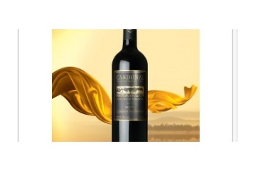 索拉国际贸易有限公司