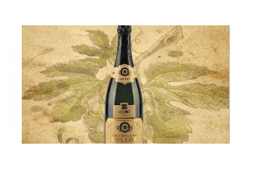 浙商糖酒集团浙江酒业有限公司