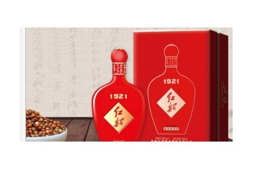 红船投资股份有限公司