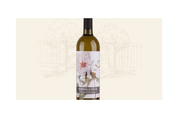 上海卡聂高国际贸易有限公司