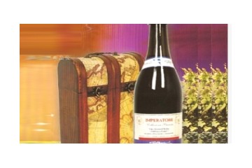 杭州泽光贸易有限公司