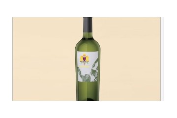 义乌派君进出口有限公司