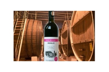 宁波布加斯国际贸易有限公司