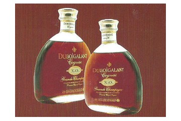 广东康帝酒业有限公司