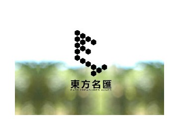 深圳市东方名汇投资有限公司