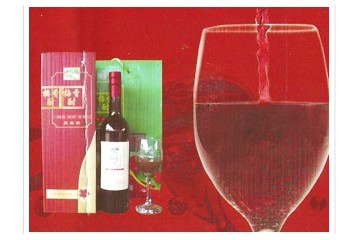 文成县真谷酒业有限公司