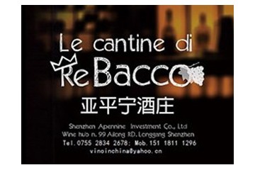 深圳亚平宁投资股份有限公司