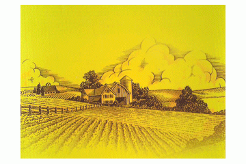 广州市海珠区岚泉红酒行