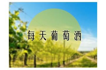 深圳市每天葡萄酒有限公司