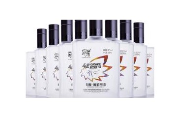 云南东川长运印象葡萄酒有限公司