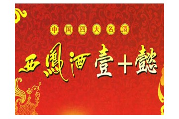 西安九鼎酒业有限公司全国总运营