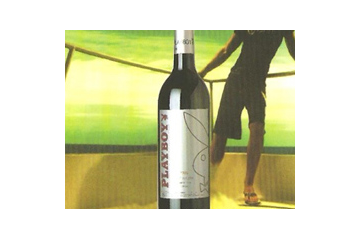 深圳市爵邦实业有限公司