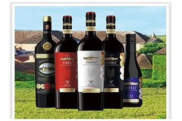 湖南勇攀酒业有限公司