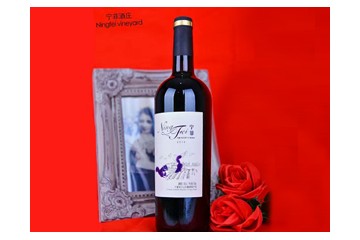 宁夏阳阳国际宁菲酒庄有限公司