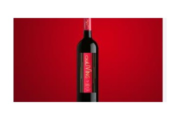 长沙澳源进出口有限公司