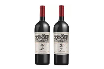 宁夏蓝赛葡萄酒业有限公司