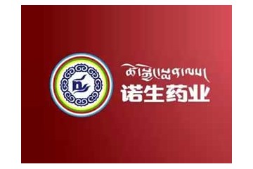 广东诺生药业有限公司