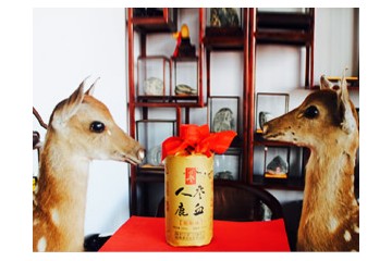 长春市神农梅花鹿科技有限公司