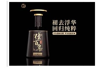 湖南佳百年酒业有限公司