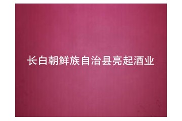 长白朝鲜族自治县亮起酒业有限公司