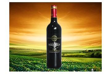 深圳赛特投资发展有限公司