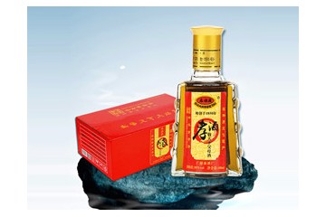 深圳生命一号健康产业有限公司