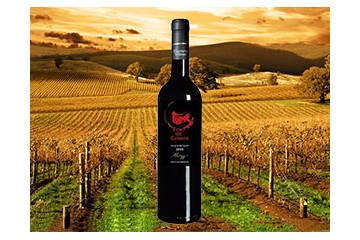 深圳市智德酒店管理有限公司