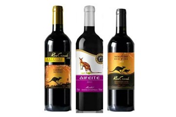 深圳市吉音生物科技有限公司