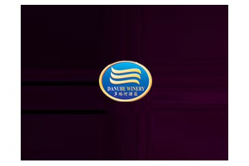 广州华枫贸易发展有限公司