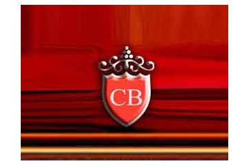 超博贸易进出口（广州）有限公司