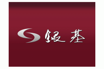 银基集团控股有限公司