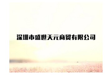 深圳市盛世天元商贸有限公司