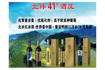 集安市纬四一庄园酒业有限公司