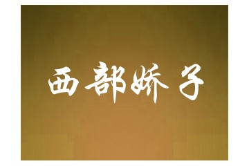 泸州西部娇子酒业有限公司