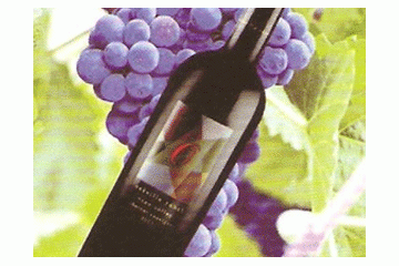 四川通惠实业集团有限公司