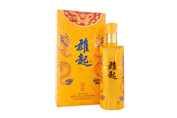 四川盛世雄起酒业有限公司