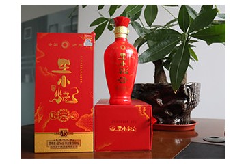 四川王小烧酒业有限公司