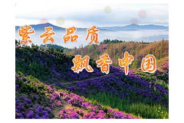 紫云岭酒业公司