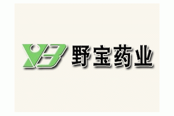 黑龙江野宝药业有限公司
