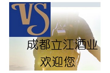 成都宏图远景实业有限公司