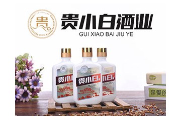 贵州贵小白酒业有限公司