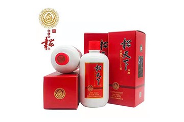 贵州韬天下酒业有限公司